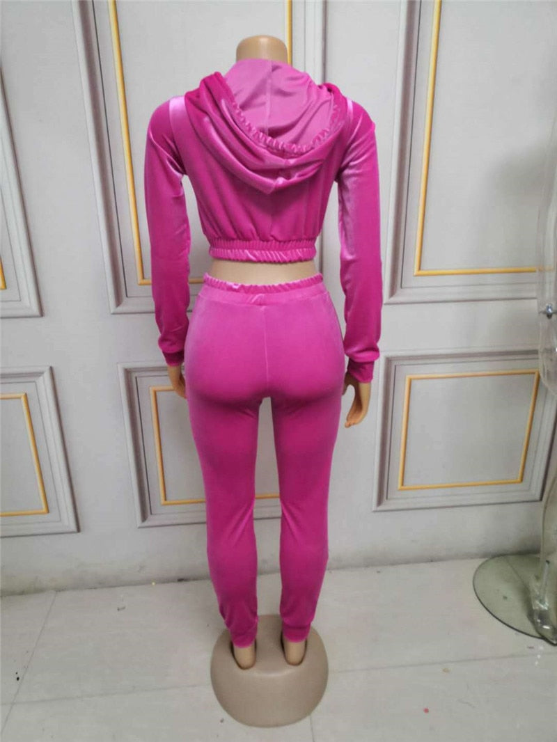 Two Piece Velvet Hooded Long Sleeve Crop Top + Pant Sweatsuit