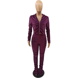 Elegant Velvet Two Piece Joggers Sweat Suit - GORGEOUS 271, LLC 